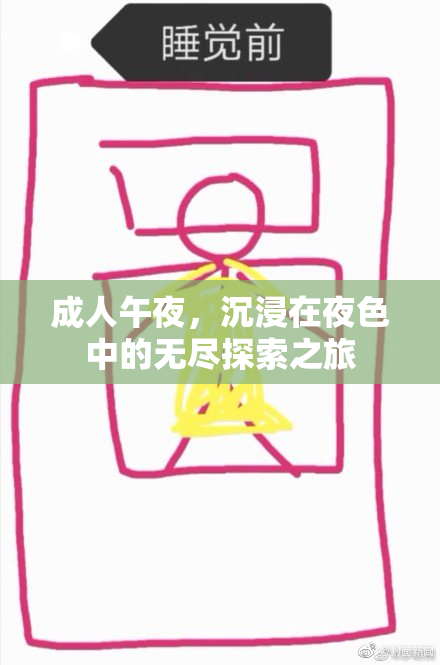 成人午夜，沉浸在夜色中的无尽探索之旅