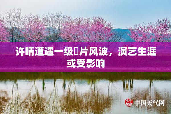 许晴遭遇一级婬片风波，演艺生涯或受影响