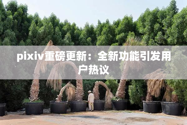 pixiv重磅更新：全新功能引发用户热议