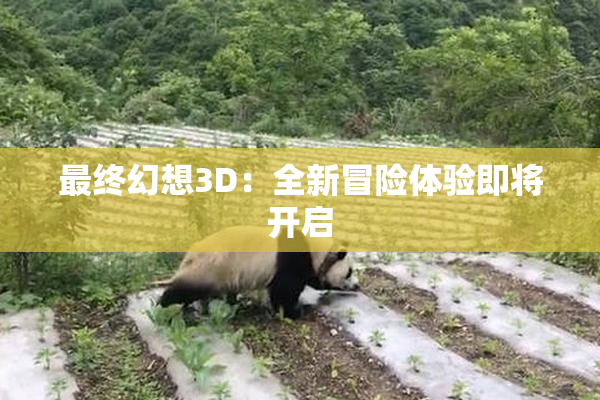 最终幻想3D：全新冒险体验即将开启