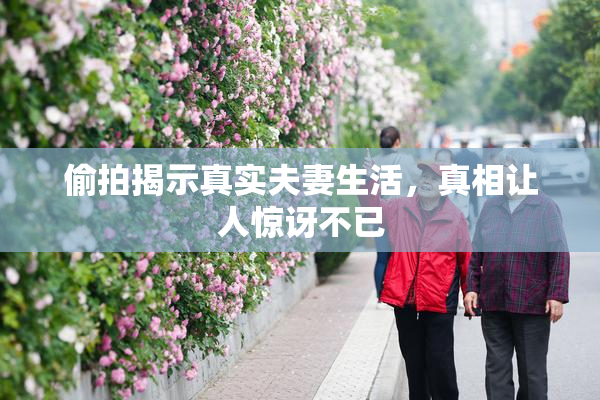 偷拍揭示真实夫妻生活，真相让人惊讶不已
