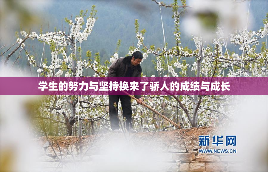 学生的努力与坚持换来了骄人的成绩与成长