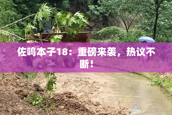 佐鸣本子18：重磅来袭，热议不断！