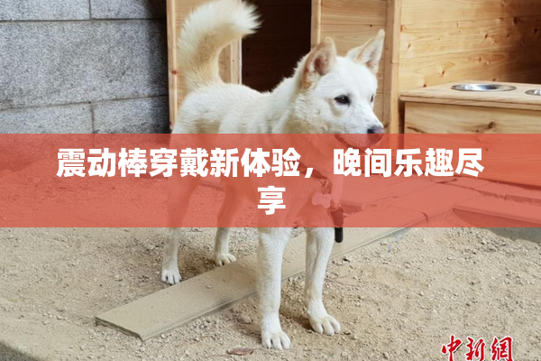 震动棒穿戴新体验，晚间乐趣尽享