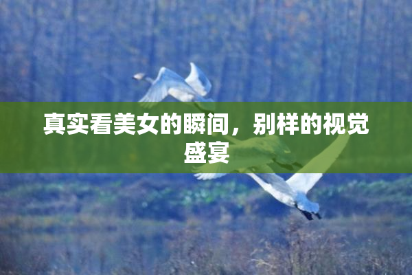 真实看美女的瞬间，别样的视觉盛宴