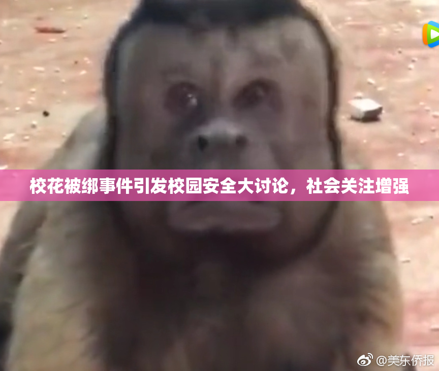 校花被绑事件引发校园安全大讨论，社会关注增强