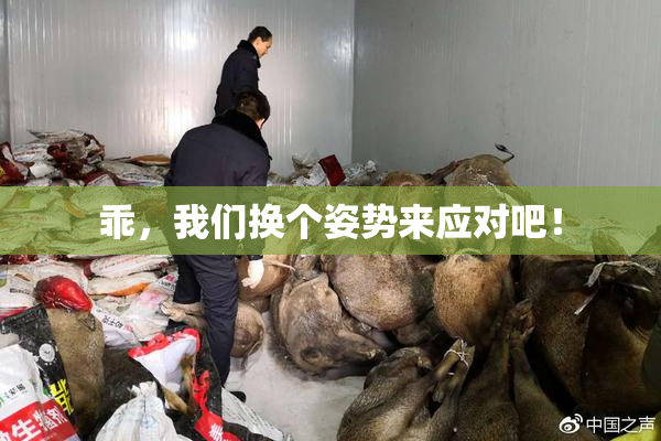 乖，我们换个姿势来应对吧！
