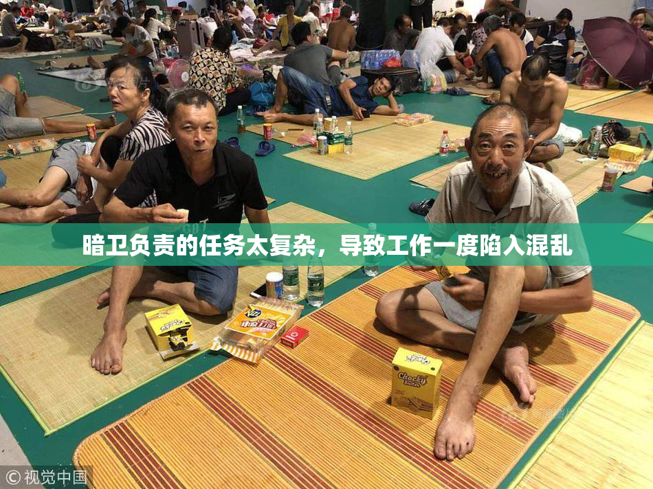 暗卫负责的任务太复杂，导致工作一度陷入混乱