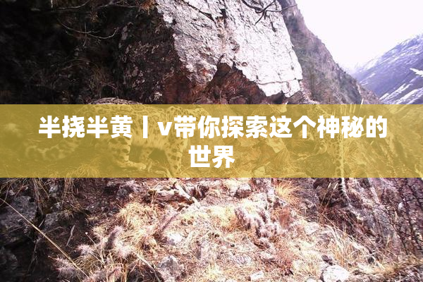 半挠半黄丨v带你探索这个神秘的世界