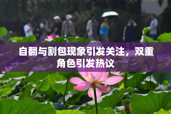 自翻与割包现象引发关注，双重角色引发热议