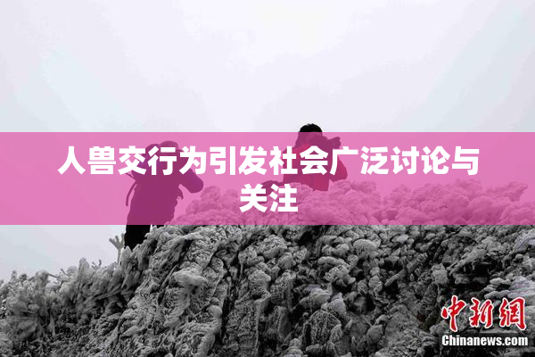 人兽交行为引发社会广泛讨论与关注