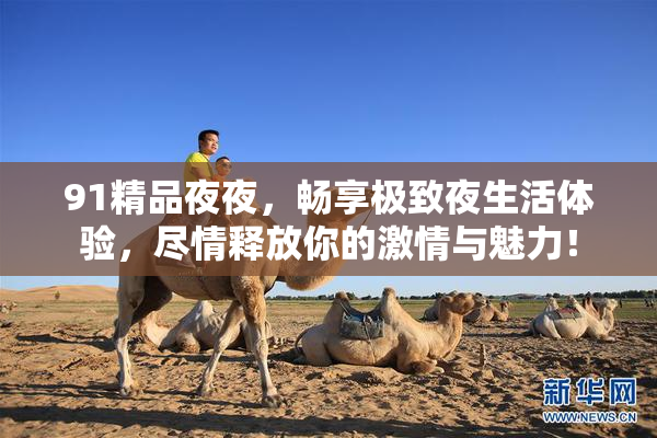 91精品夜夜，畅享极致夜生活体验，尽情释放你的激情与魅力！