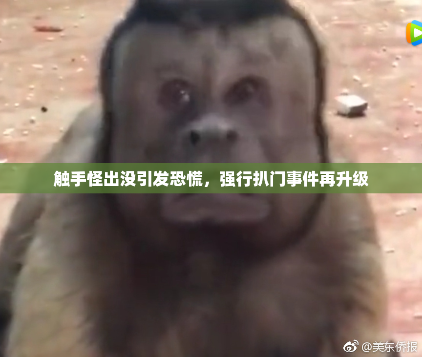 触手怪出没引发恐慌，强行扒门事件再升级