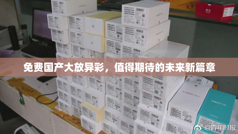 免费国产大放异彩，值得期待的未来新篇章