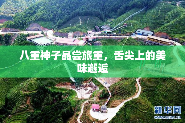 八重神子品尝旅重，舌尖上的美味邂逅