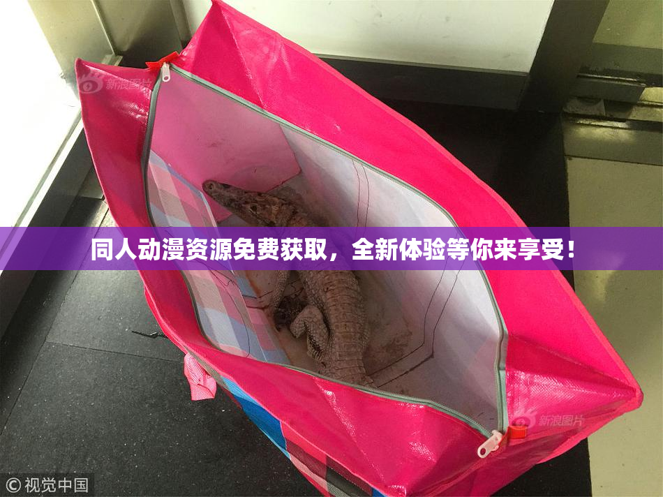 同人动漫资源免费获取，全新体验等你来享受！