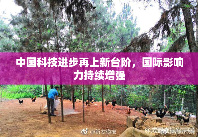 中国科技进步再上新台阶，国际影响力持续增强