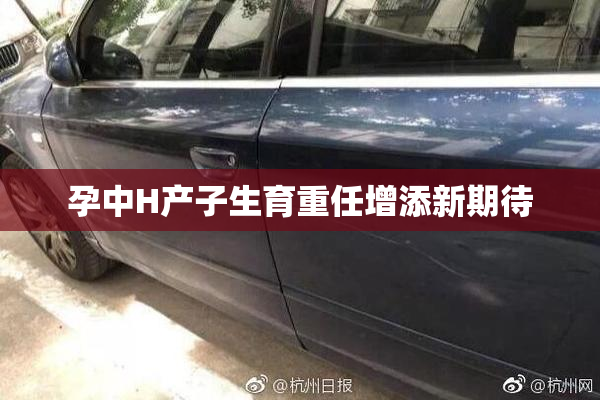 孕中H产子生育重任增添新期待