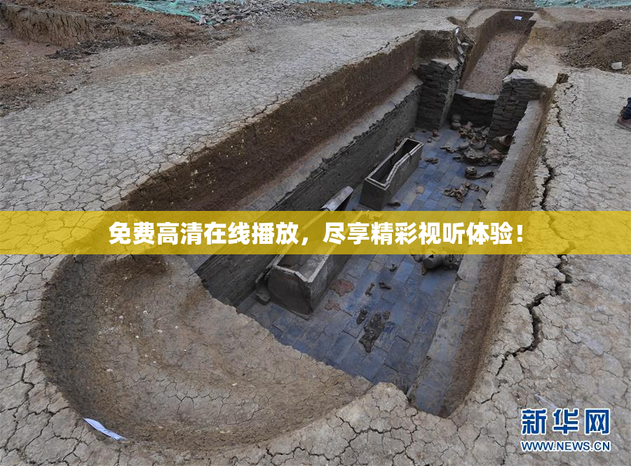 免费高清在线播放，尽享精彩视听体验！