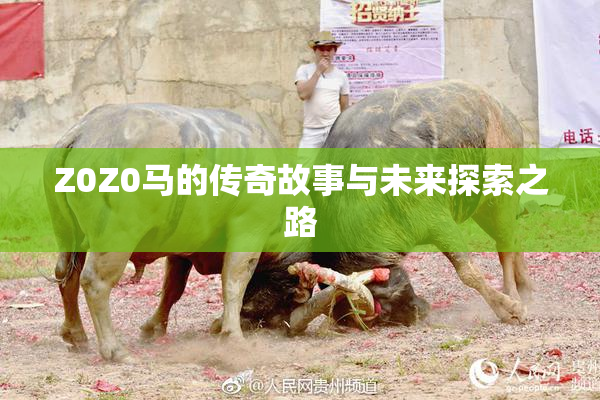 Z0Z0马的传奇故事与未来探索之路