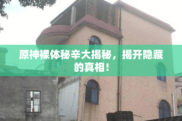 原神裸体秘辛大揭秘，揭开隐藏的真相！