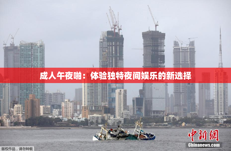 成人午夜啪：体验独特夜间娱乐的新选择