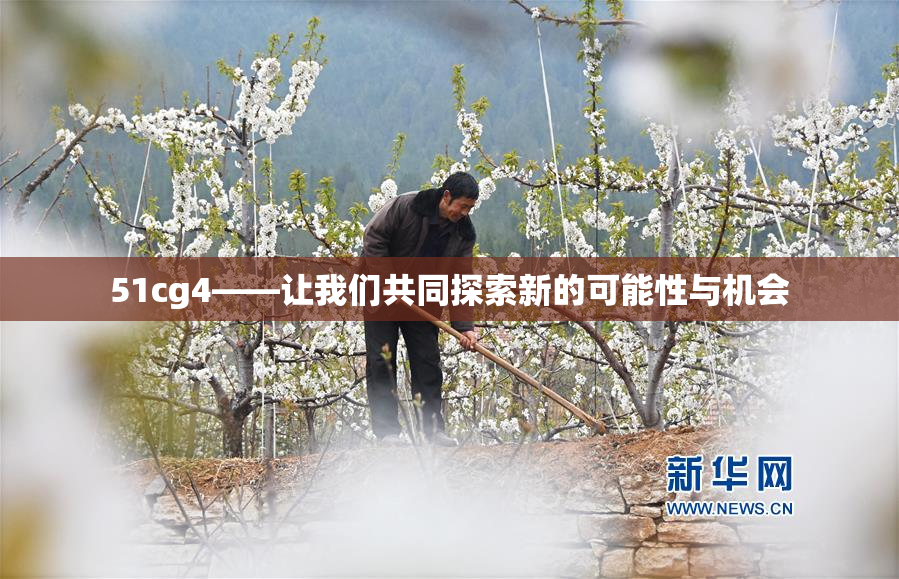 51cg4——让我们共同探索新的可能性与机会