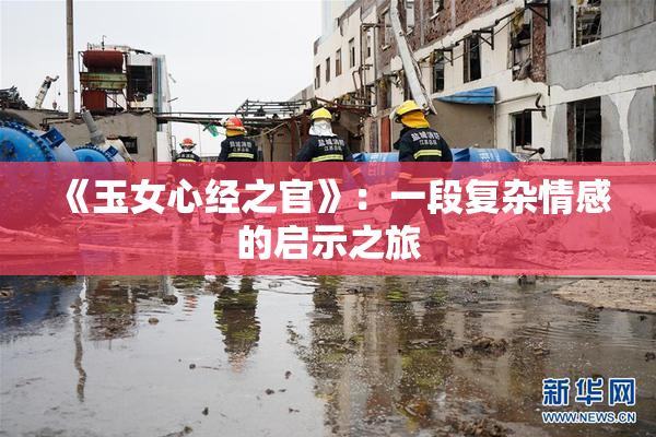《玉女心经之官》：一段复杂情感的启示之旅