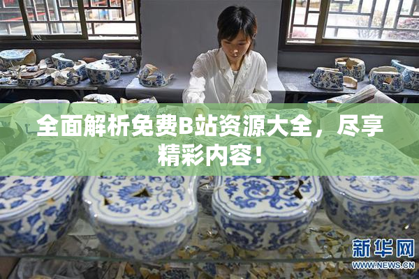 全面解析免费B站资源大全，尽享精彩内容！