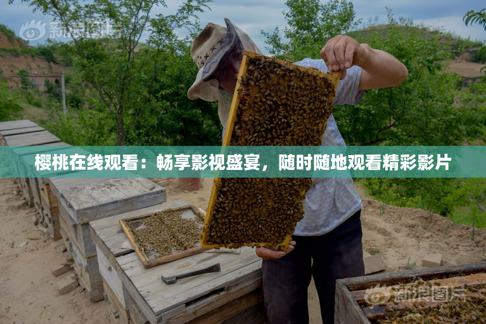 樱桃在线观看：畅享影视盛宴，随时随地观看精彩影片
