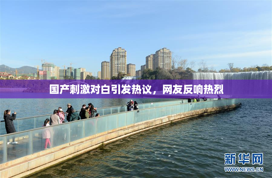 国产刺激对白引发热议，网友反响热烈