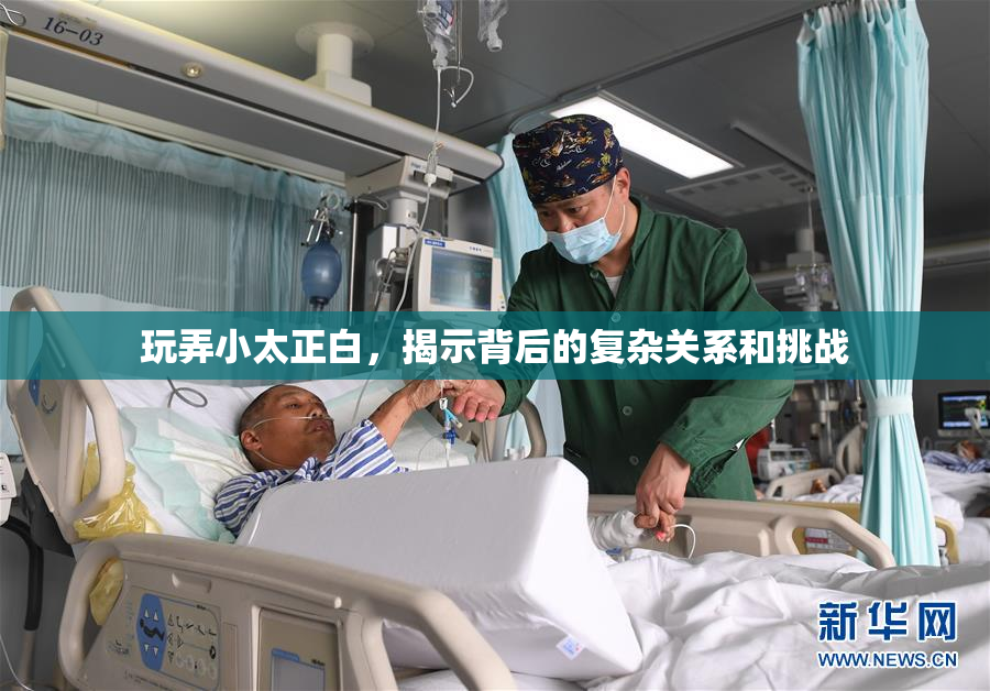 玩弄小太正白，揭示背后的复杂关系和挑战