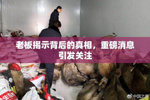 老板揭示背后的真相，重磅消息引发关注