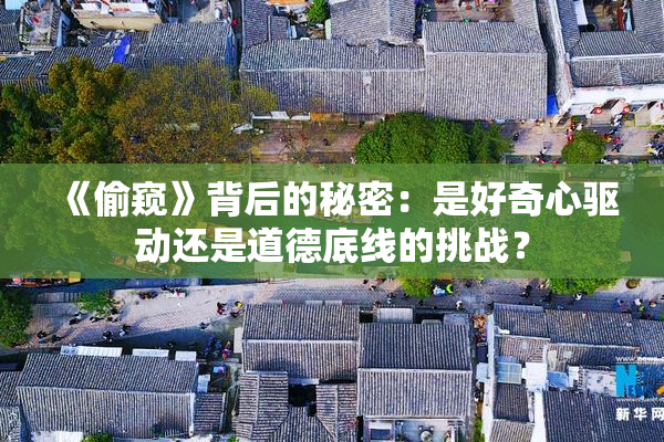 《偷窥》背后的秘密：是好奇心驱动还是道德底线的挑战？