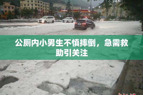 公厕内小男生不慎摔倒，急需救助引关注