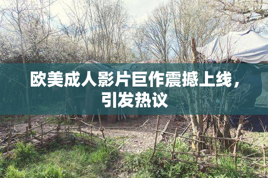 欧美成人影片巨作震撼上线，引发热议