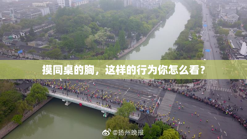 摸同桌的胸，这样的行为你怎么看？