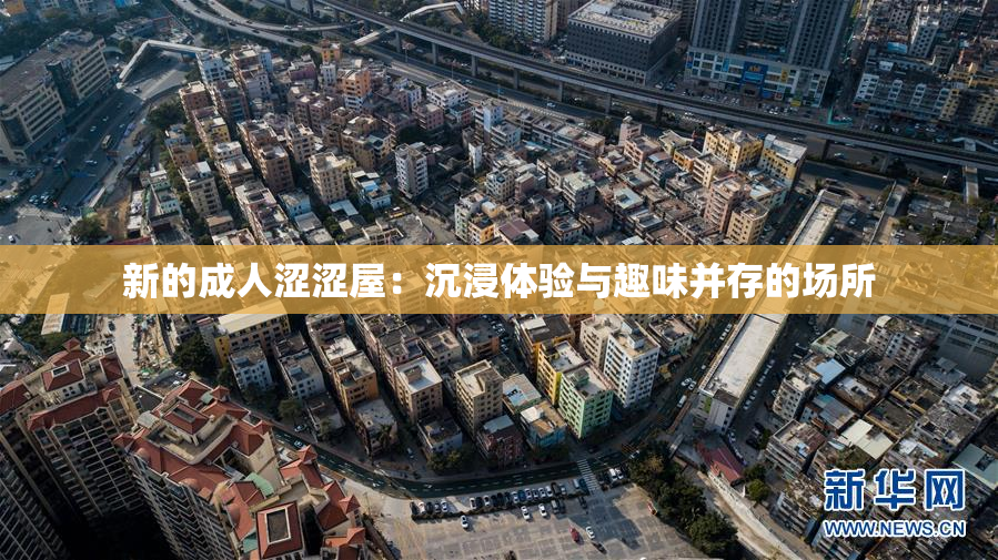 新的成人涩涩屋：沉浸体验与趣味并存的场所
