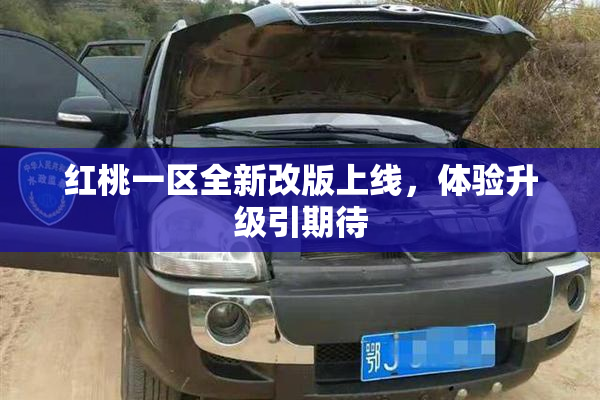 红桃一区全新改版上线，体验升级引期待