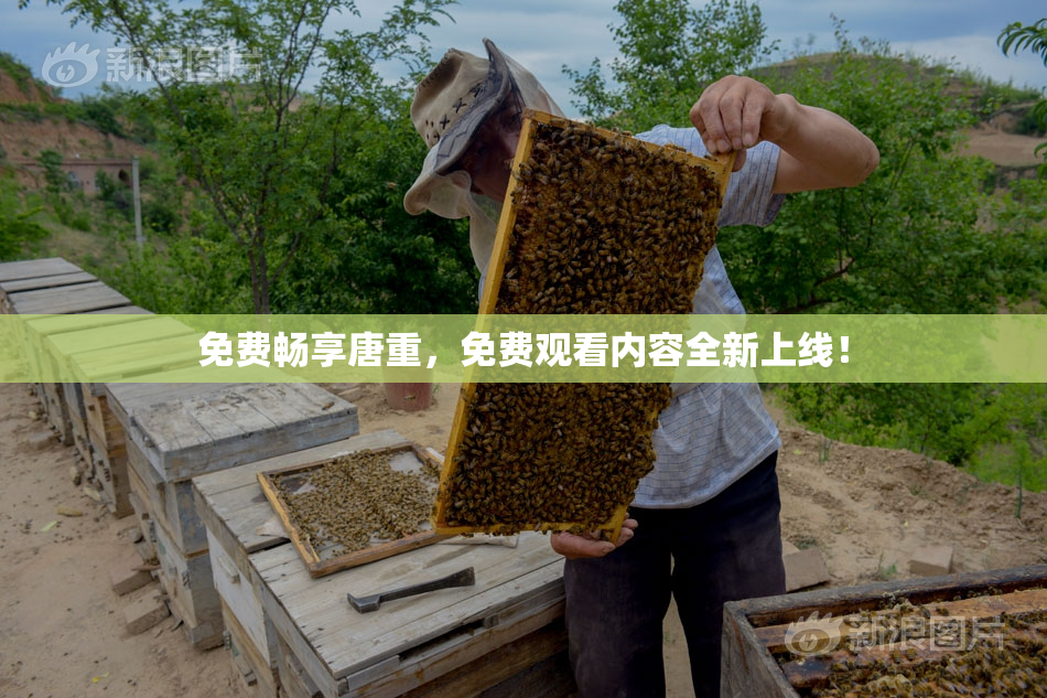 免费畅享唐重，免费观看内容全新上线！
