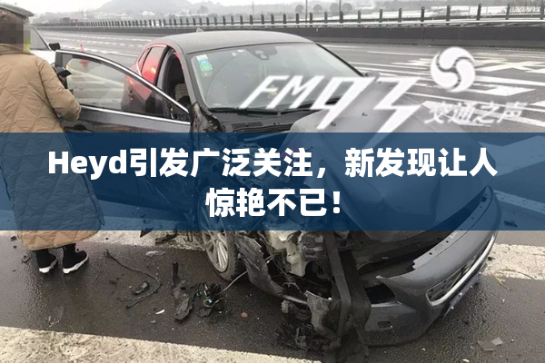 Heyd引发广泛关注，新发现让人惊艳不已！