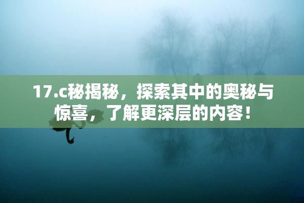 17.c秘揭秘，探索其中的奥秘与惊喜，了解更深层的内容！