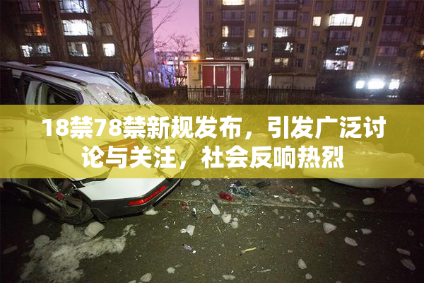 18禁78禁新规发布，引发广泛讨论与关注，社会反响热烈