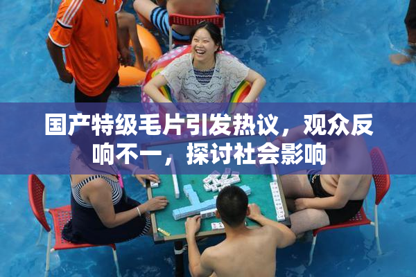 国产特级毛片引发热议，观众反响不一，探讨社会影响