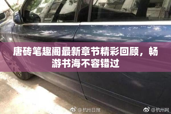 唐砖笔趣阁最新章节精彩回顾，畅游书海不容错过