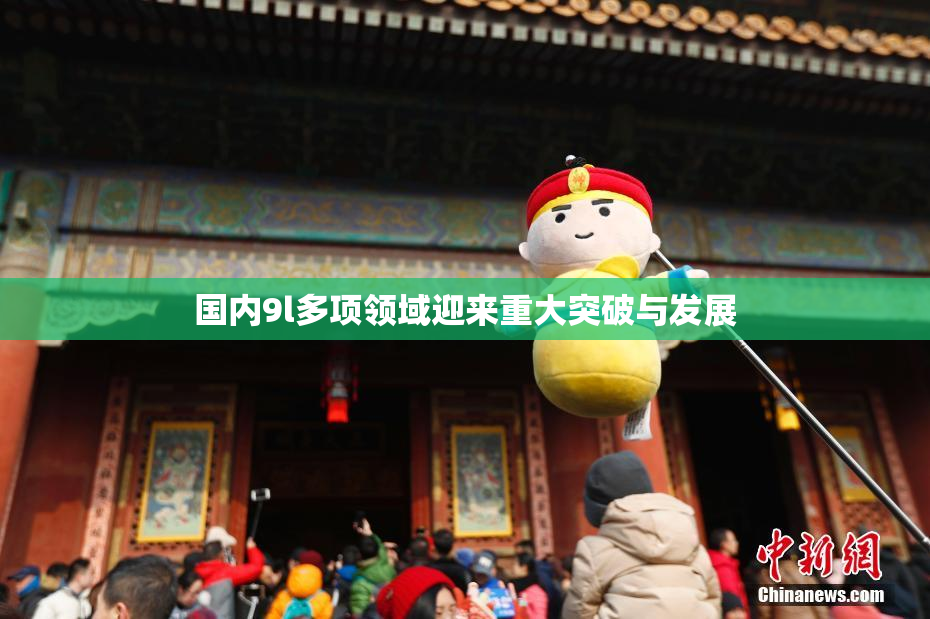 国内9l多项领域迎来重大突破与发展
