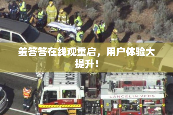 羞答答在线观重启，用户体验大提升！