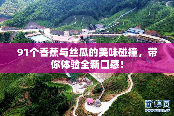 91个香蕉与丝瓜的美味碰撞，带你体验全新口感！