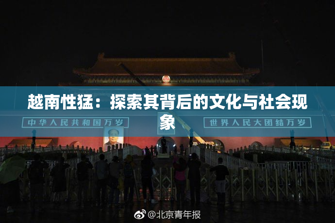 越南性猛：探索其背后的文化与社会现象