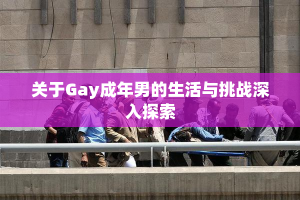 关于Gay成年男的生活与挑战深入探索